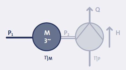 Pump BHP break house power กำลัง