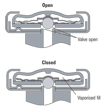 Steam trap แบบ Balance type