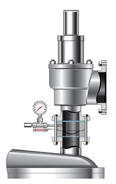 การติดตั้ง Rupture Disk เข้ากับ PSV