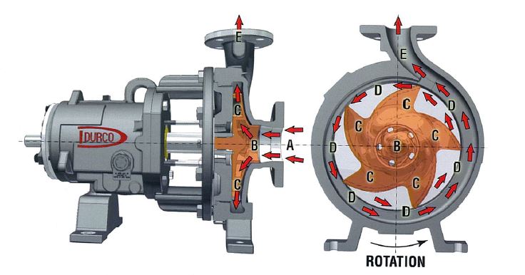 pump centrifufal หอยโข่ง ปั้ม ภาพตัด
