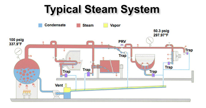 ตำแหน่งของ Steam trap ในระบบไอน้ำ (สีม่วง)