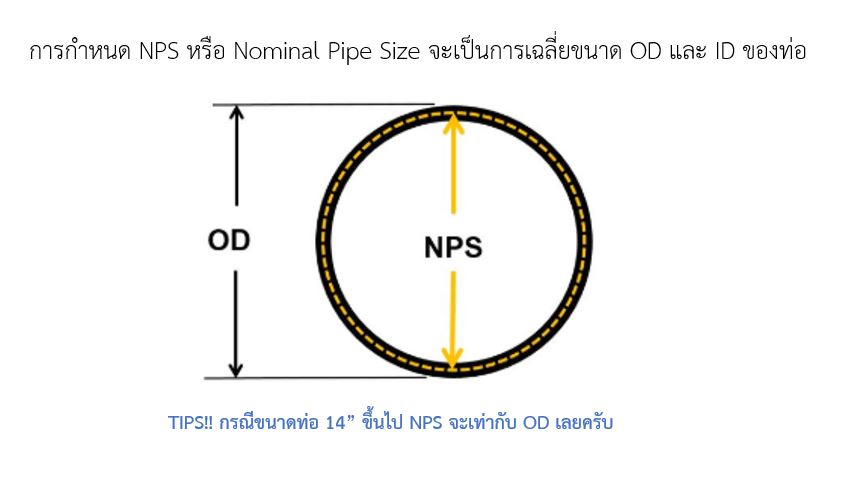 การกำหนาขนาด NPS หรือ Nominal Pipe Size