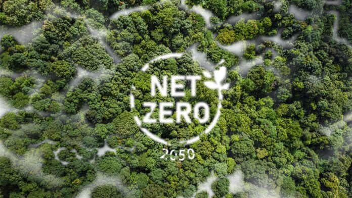 Net,Zero,2050,Carbon,Neutral,And,Net,Zero,Concept,Natural