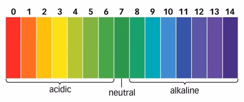 ph-scale_original