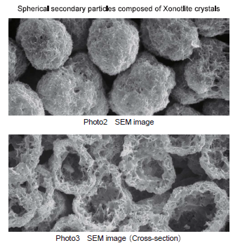 โครงสร้างพรุน (Porous Structure)