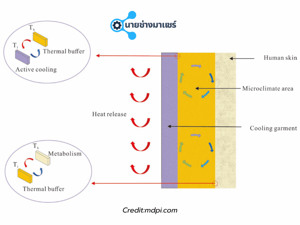 การลดการสูญเสียความร้อน (Thermal Insulation)