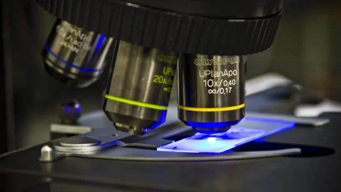 Dual-light microscope captures micro detail and nano motion with 14x expanded range